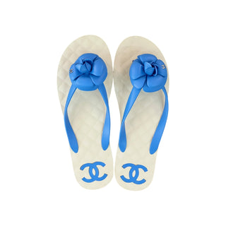Chanel Blue CC Camellia Flip Flops Sandals