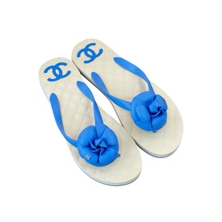 Chanel Blue CC Camellia Flip Flops Sandals