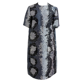 Prada Python Print Wool-Silk Jacket and Dress Set